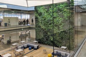 A large green wall installation might help build better relationships in your office